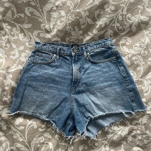 BDG Light Blue High Waisted Jean Shorts